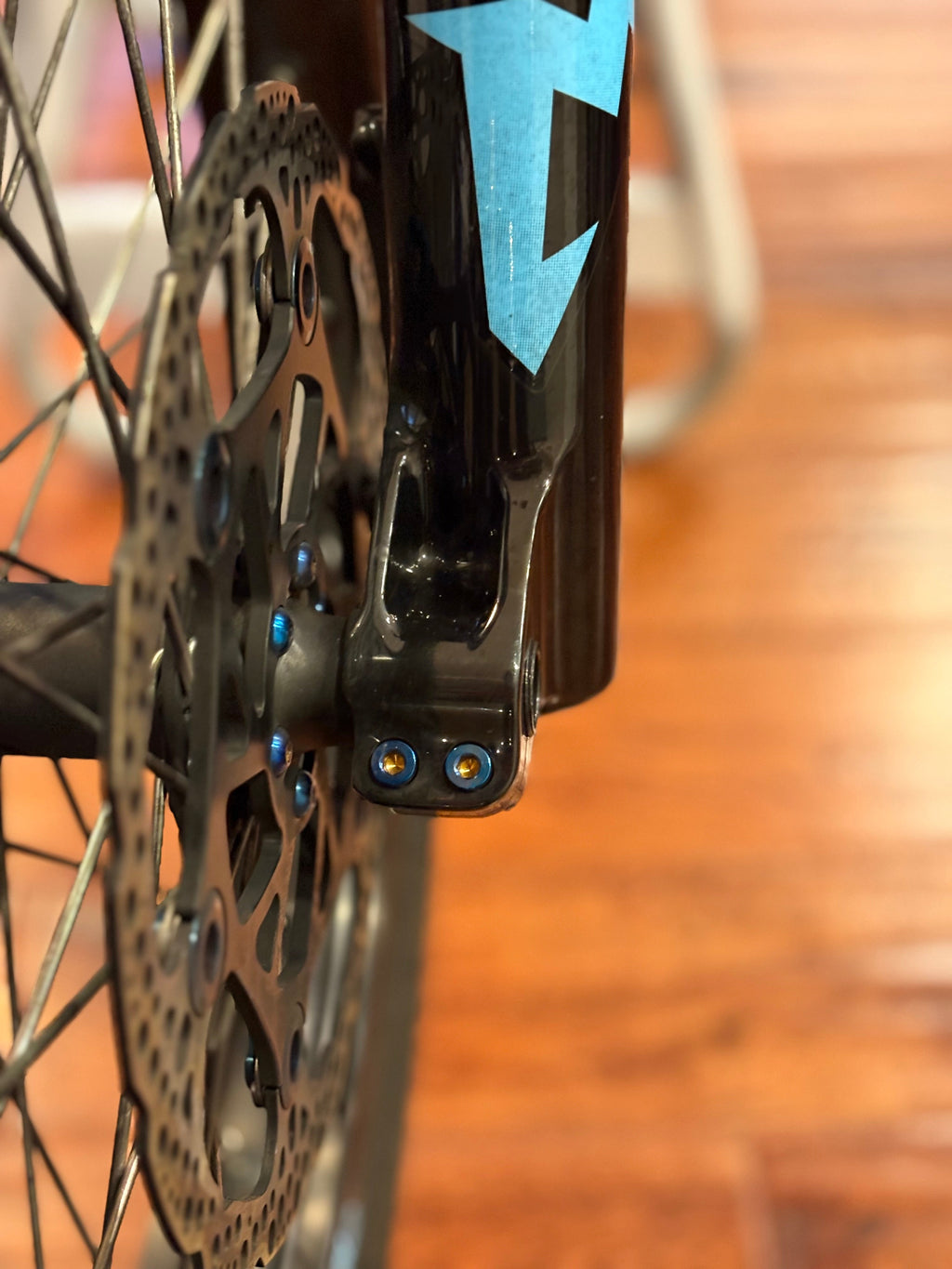 Pinch Bolts (set of 4)