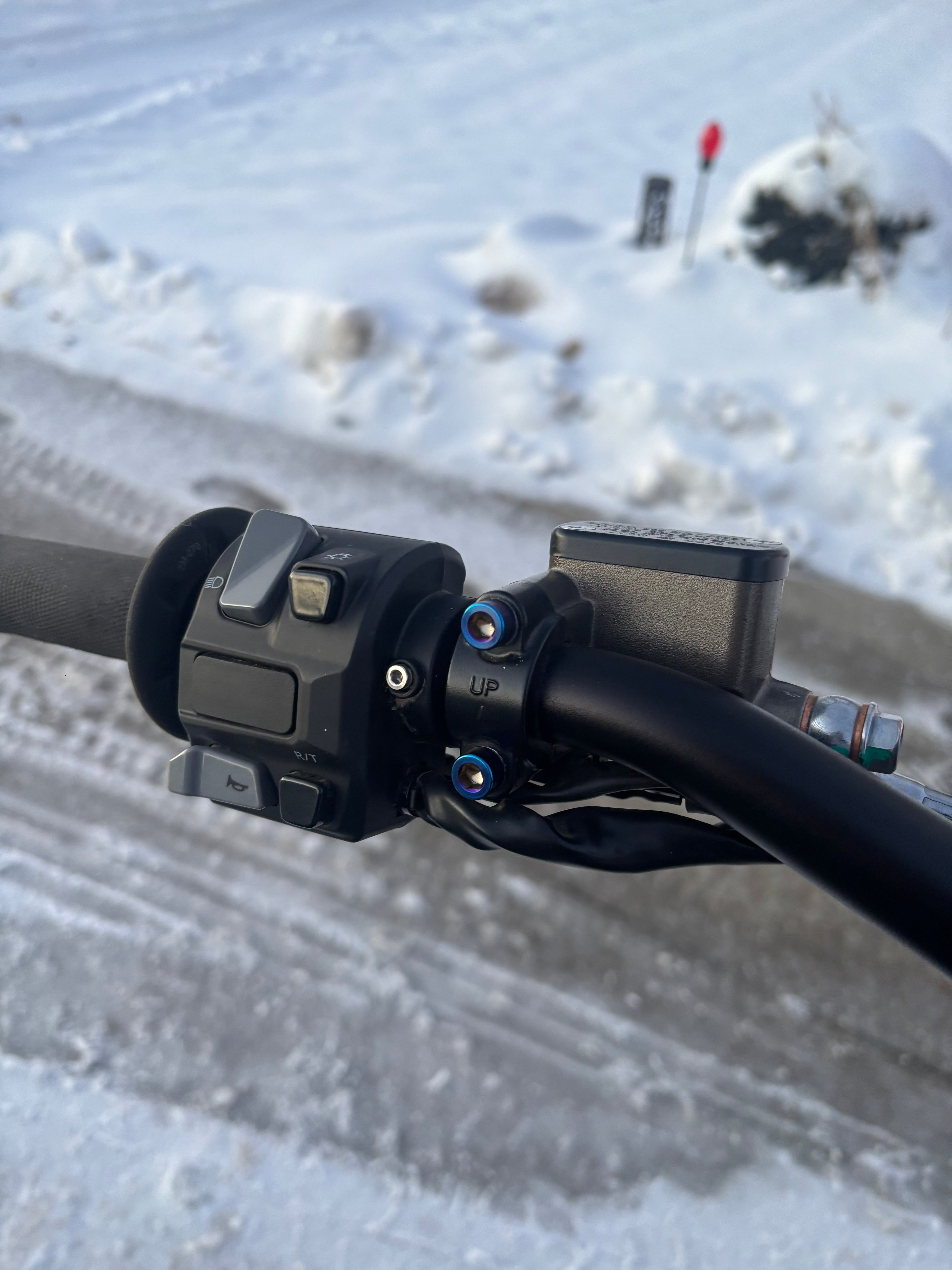 Ultra Bee Brake Mount Titanium Bolts