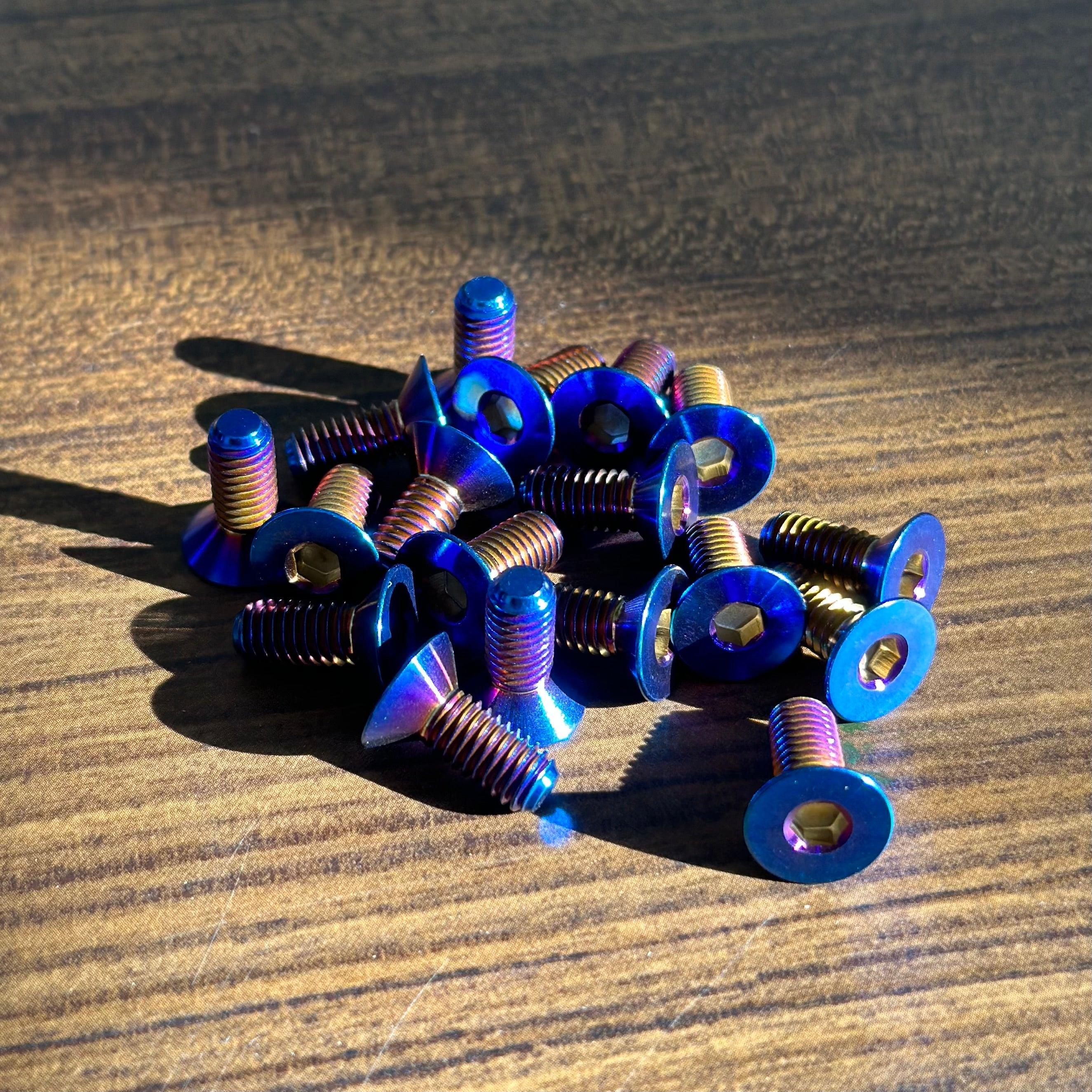 Moto Brake Rotor Titanium Bolts (REAR)