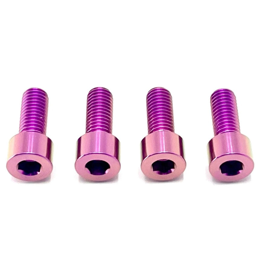 Ultra Bee Brake Mount Titanium Bolts
